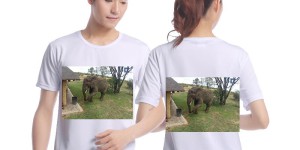 Can T-shirts be customized (Eco-friendly T-shirt customization makes our sky bluer and the environment more beautiful)