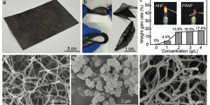 Progress in research on flame-retardant aramid nanofiber aerogel-eutectic phase change solvent host-guest composite film