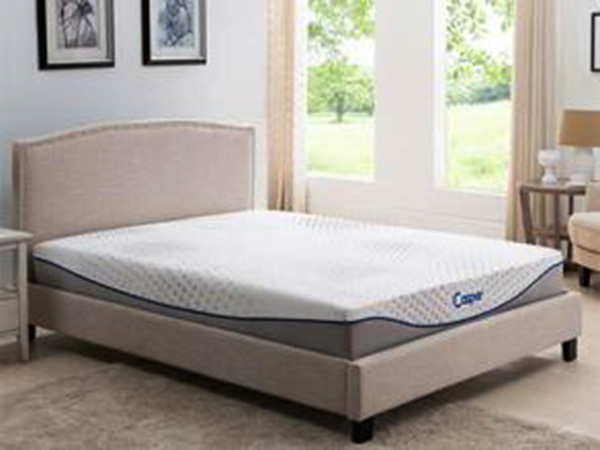 Shuford Electric Bed