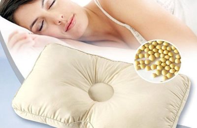 Soybean pillow renderings