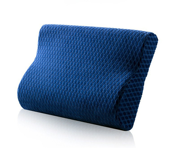 Magnetic therapy health pillow renderings