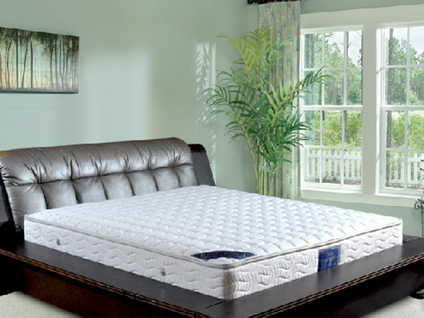 Palm mattress renderings