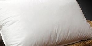 Pillow purchase standards