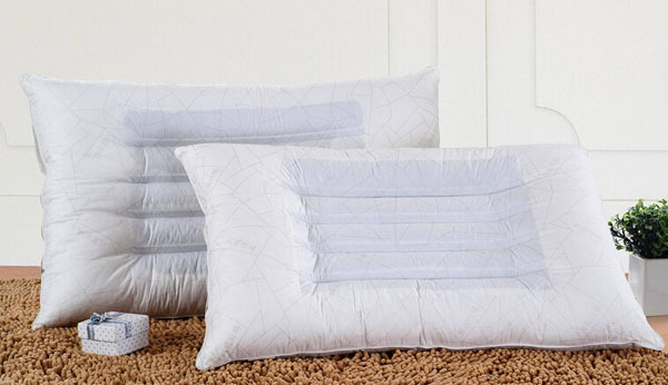 Silkworm sand pillow