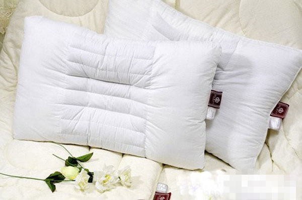 Silkworm sand pillow