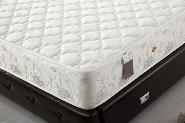 Golden Seahorse Mattress