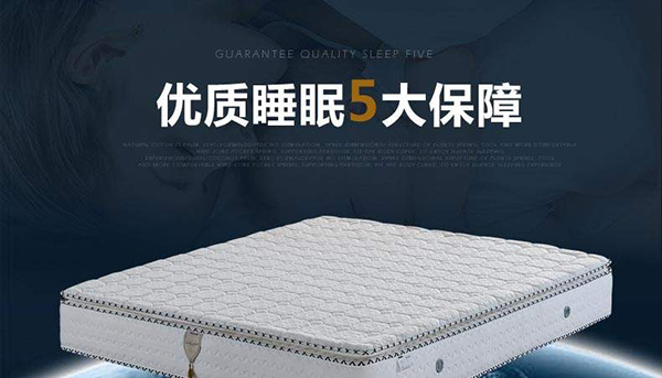 Golden Seahorse Mattress