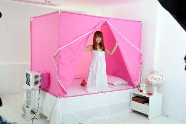   Air-conditioned mosquito net