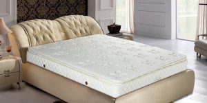 Nature's mattress types