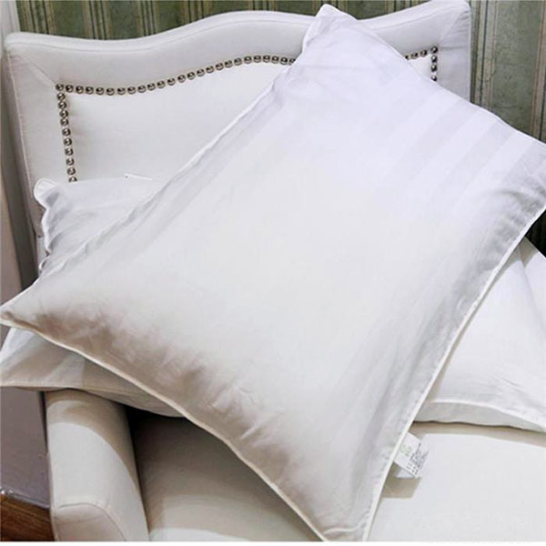 Silkworm sand pillow