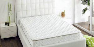 Coconut palm mattress