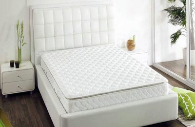 Coconut palm mattress