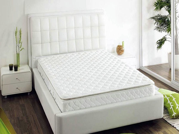 Coconut palm mattress