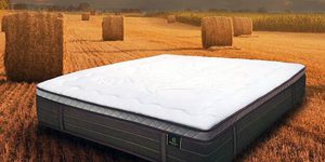 Suibao latex mattress