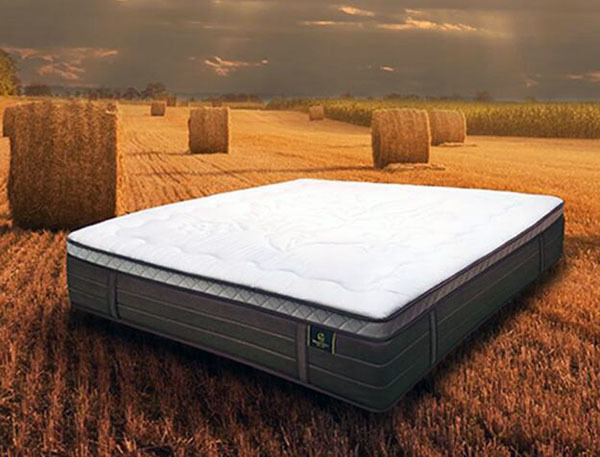 Suibao latex mattress