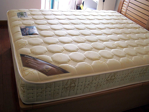 Which brand of Palm mattress is good in 2018