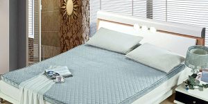 Which palm mattress is better