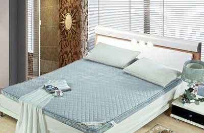 Which palm mattress is better