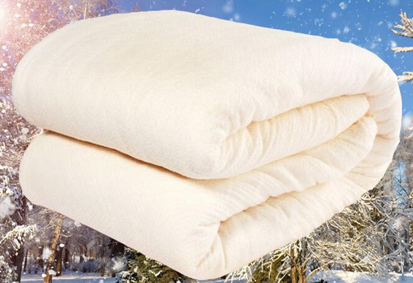 10  Price of pure cotton quilt per kilogram