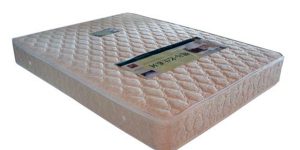 Advantages and Disadvantages of Coconut Palm Mattress