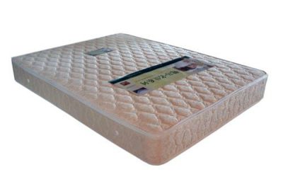 Advantages and Disadvantages of Coconut Palm Mattress