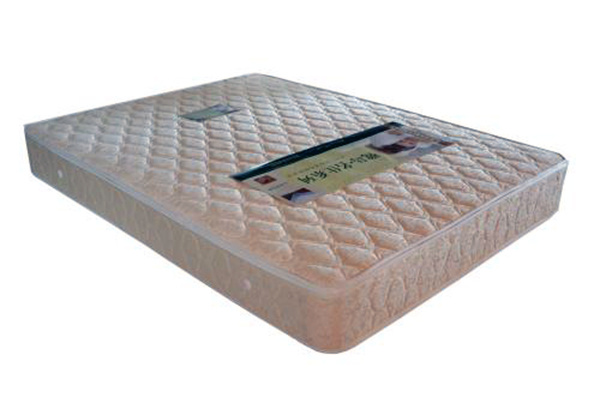 Advantages and Disadvantages of Coconut Palm Mattress