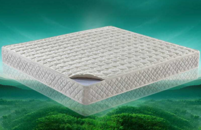 What brand of coconut palm mattress is good?