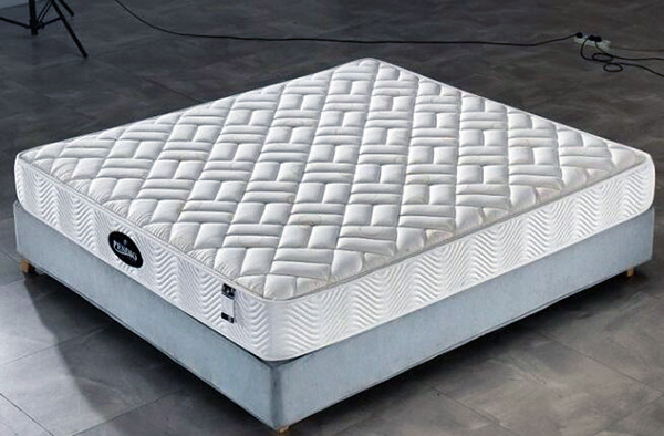 Which one is better, coconut palm mattress or latex mattress