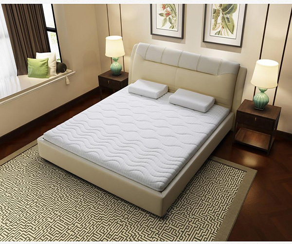 Palm mattress price